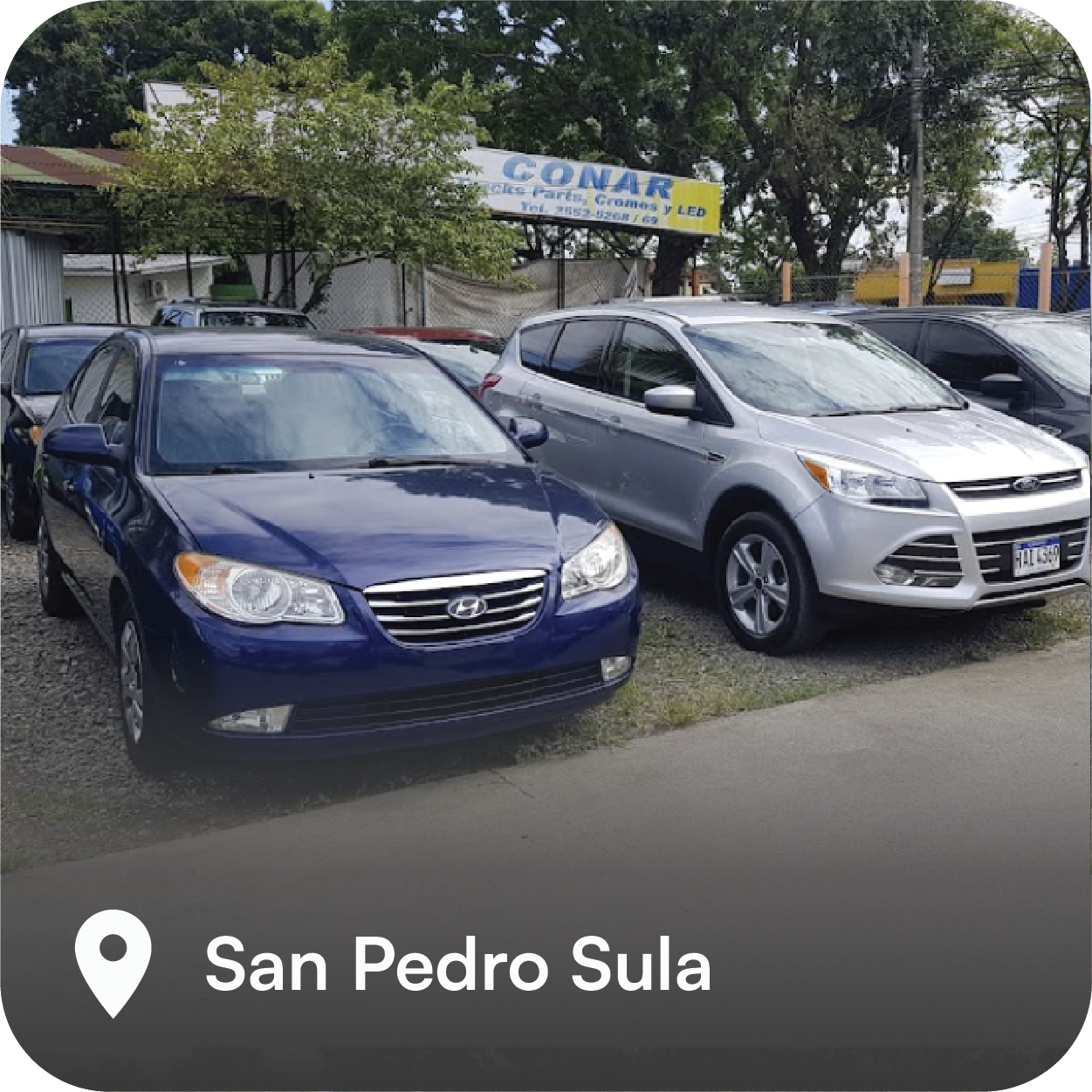autolote